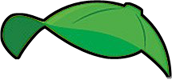 green baseball cap